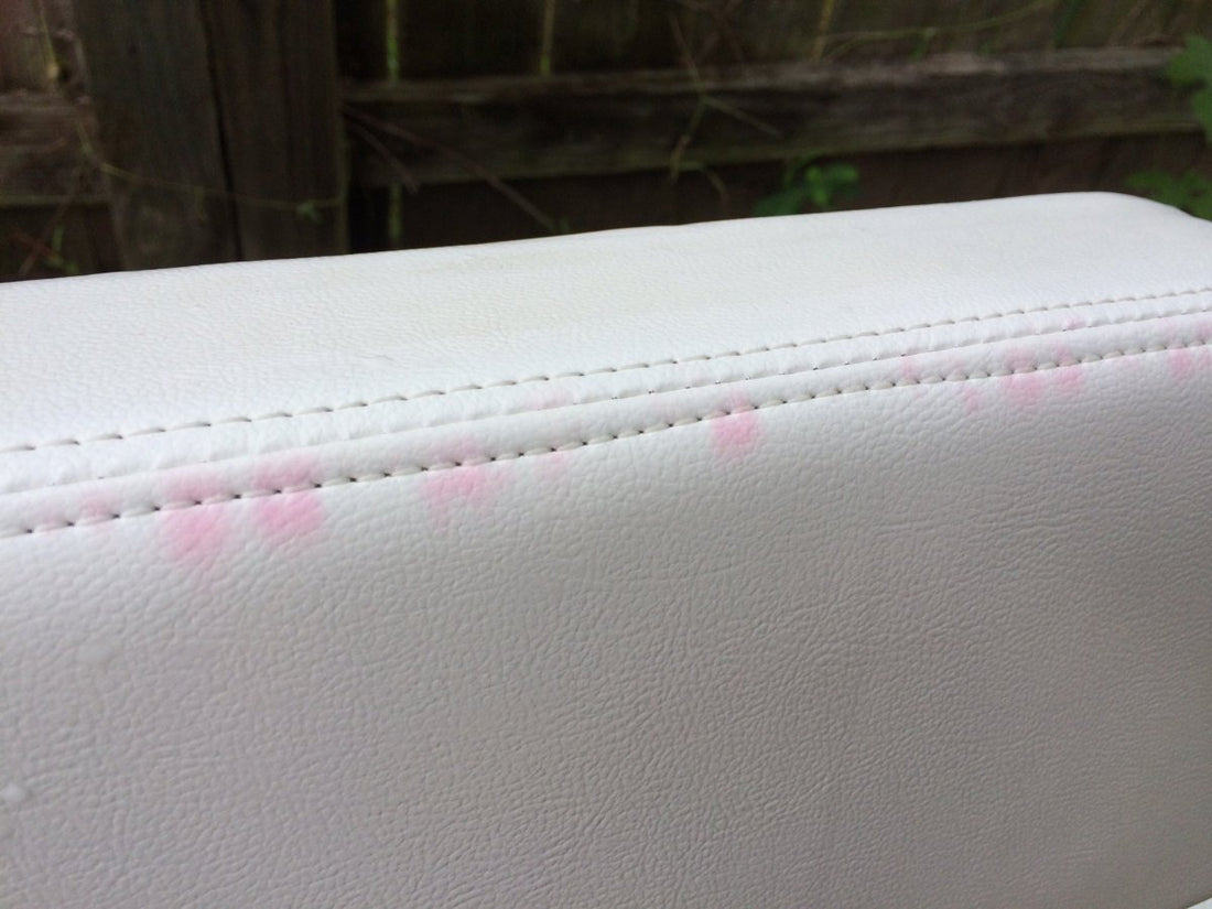 Streptoverticullium Reticulum AKA Pink Stains - Chic Marine